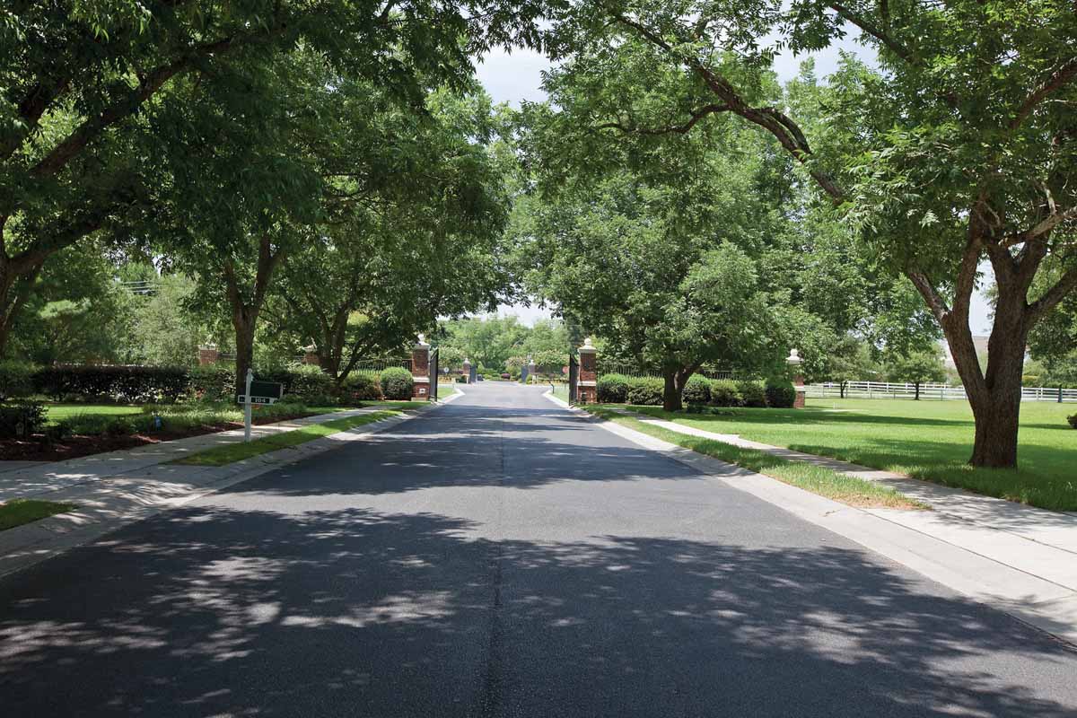 Pecan Grove Plantation Hampstead Starting Price 600000 Shane